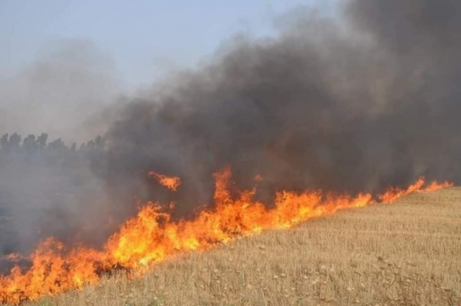 سلێمانی.. بە هۆکارێکی نادیار 400 دۆنم پوش و پاوان سووتا 